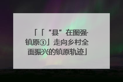 「“县”在图强·镇原③」走向乡村全面振兴的镇原轨迹