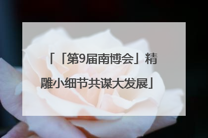 「第9届南博会」精雕小细节共谋大发展
