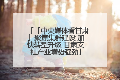 「中央媒体看甘肃」聚焦集群建设 加快转型升级 甘肃支柱产业增势强劲