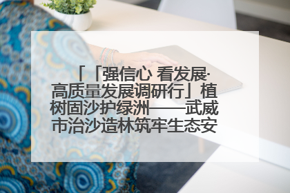 「强信心 看发展·高质量发展调研行」植树固沙护绿洲——武威市治沙造林筑牢生态安全屏障见闻
