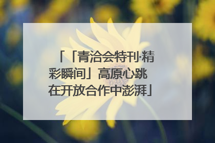 「青洽会特刊·精彩瞬间」高原心跳 在开放合作中澎湃