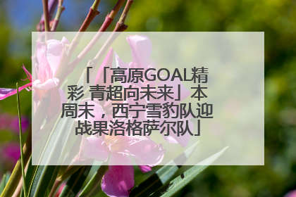 「高原GOAL精彩 青超向未来」本周末，西宁雪豹队迎战果洛格萨尔队