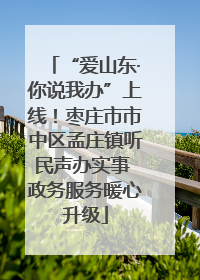 “爱山东·你说我办”上线！枣庄市市中区孟庄镇听民声办实事 政务服务暖心升级