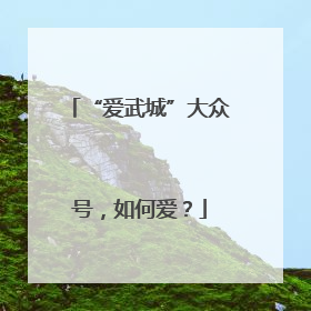 “爱武城”大众号，如何爱？
