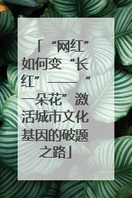 “网红”如何变“长红”——“一朵花”激活城市文化基因的破题之路