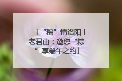 “粽”情洛阳丨老君山：邀您“粽”享端午之约