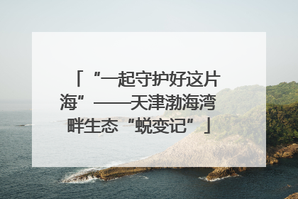 “一起守护好这片海”——天津渤海湾畔生态“蜕变记”
