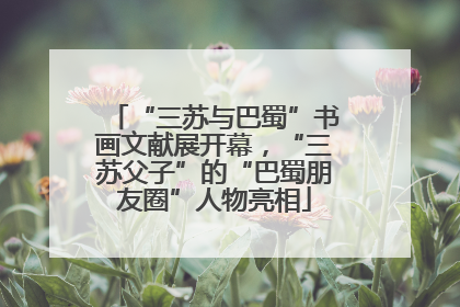 “三苏与巴蜀”书画文献展开幕，“三苏父子”的“巴蜀朋友圈”人物亮相