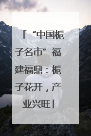 “中国栀子名市”福建福鼎：栀子花开，产业兴旺