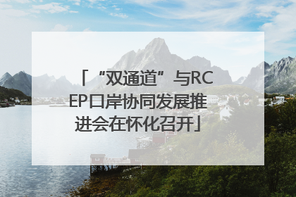 “双通道”与RCEP口岸协同发展推进会在怀化召开