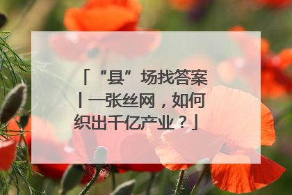 “县”场找答案丨一张丝网，如何织出千亿产业？