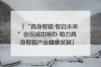 “具身智能·智启未来”会议成功举办 助力具身智能产业健康发展