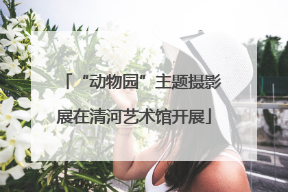 “动物园”主题摄影展在清河艺术馆开展