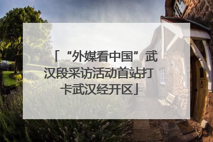 “外媒看中国”武汉段采访活动首站打卡武汉经开区