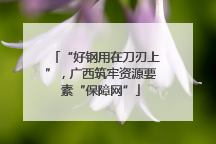 “好钢用在刀刃上”，广西筑牢资源要素“保障网”