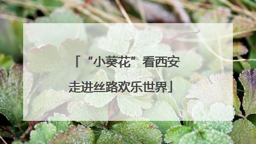 “小葵花”看西安走进丝路欢乐世界