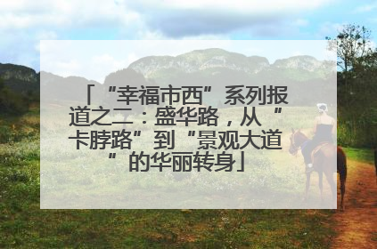 “幸福市西”系列报道之二：盛华路，从“卡脖路”到“景观大道”的华丽转身