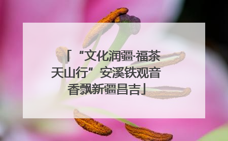 “文化润疆·福茶天山行”安溪铁观音香飘新疆昌吉
