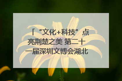 “文化+科技”点亮荆楚之美 第二十一届深圳文博会湖北馆抢“鲜”看