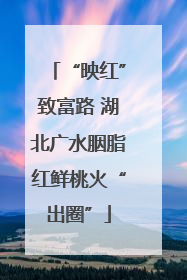 “映红”致富路 湖北广水胭脂红鲜桃火“出圈”
