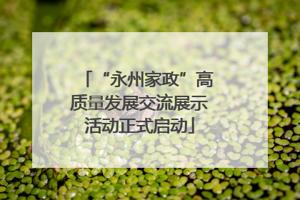 “永州家政”高质量发展交流展示活动正式启动