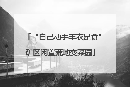 “自己动手丰衣足食”矿区闲置荒地变菜园