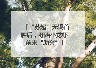 “苏超”无锡首胜后，盱眙小龙虾前来“助兴”
