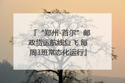 “郑州-首尔”邮政货运航线复飞 每周3班常态化运行