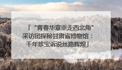 “青春华章重走西北角”采访团探秘甘肃省博物馆：千年珍宝诉说丝路辉煌