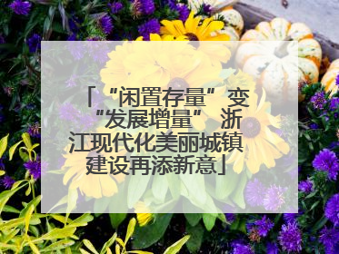“闲置存量”变“发展增量” 浙江现代化美丽城镇建设再添新意