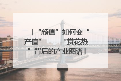 “颜值”如何变“产值”——“赏花热”背后的产业图谱