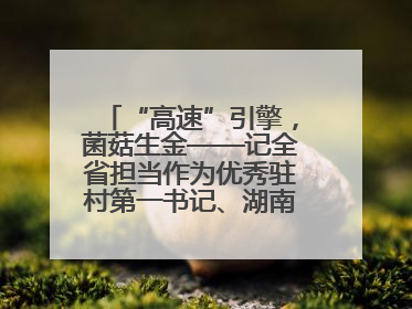“高速”引擎，菌菇生金——记全省担当作为优秀驻村第一书记、湖南高速集团肖兴旺