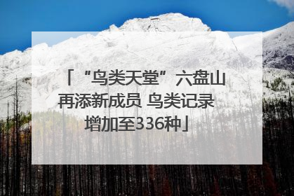 “鸟类天堂”六盘山再添新成员 鸟类记录增加至336种