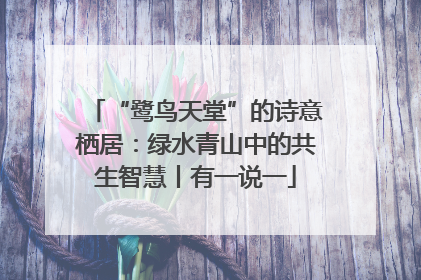 “鹭鸟天堂”的诗意栖居：绿水青山中的共生智慧丨有一说一
