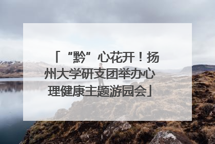 “黔”心花开！扬州大学研支团举办心理健康主题游园会