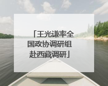 王光谦率全国政协调研组赴西藏调研