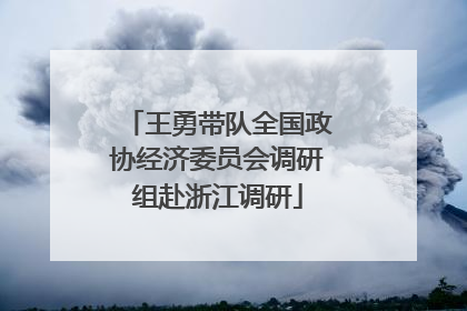 王勇带队全国政协经济委员会调研组赴浙江调研