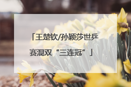 王楚钦/孙颖莎世乒赛混双“三连冠”