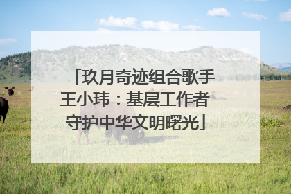 玖月奇迹组合歌手王小玮：基层工作者守护中华文明曙光