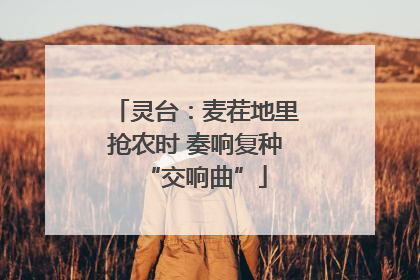 灵台：麦茬地里抢农时 奏响复种“交响曲”