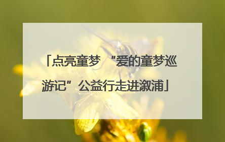 点亮童梦 “爱的童梦巡游记”公益行走进溆浦