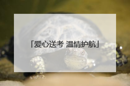 爱心送考 温情护航