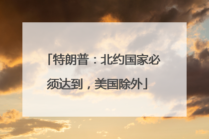 特朗普：北约国家必须达到，美国除外