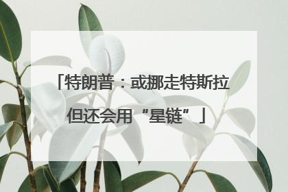 特朗普：或挪走特斯拉 但还会用“星链”