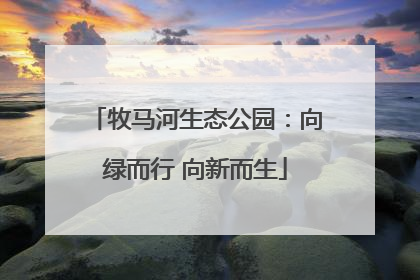 牧马河生态公园：向绿而行 向新而生