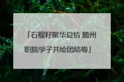 石榴籽聚华夏情 随州职院学子共绘团结卷