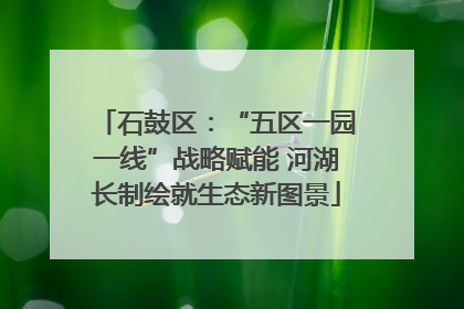 石鼓区：“五区一园一线”战略赋能 河湖长制绘就生态新图景