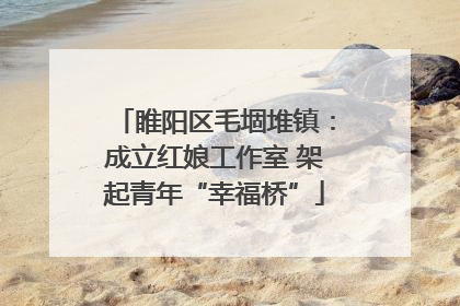 睢阳区毛堌堆镇：成立红娘工作室 架起青年“幸福桥”