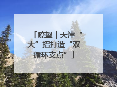 瞭望｜天津“大”招打造“双循环支点”