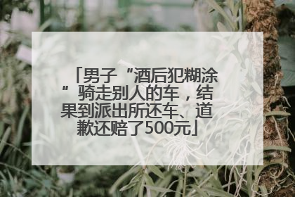 男子“酒后犯糊涂”骑走别人的车，结果到派出所还车、道歉还赔了500元